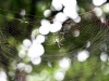 2009 04 10 Nature Walk
