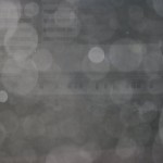 100mm, 1/200s, f/2.8 ISO 400